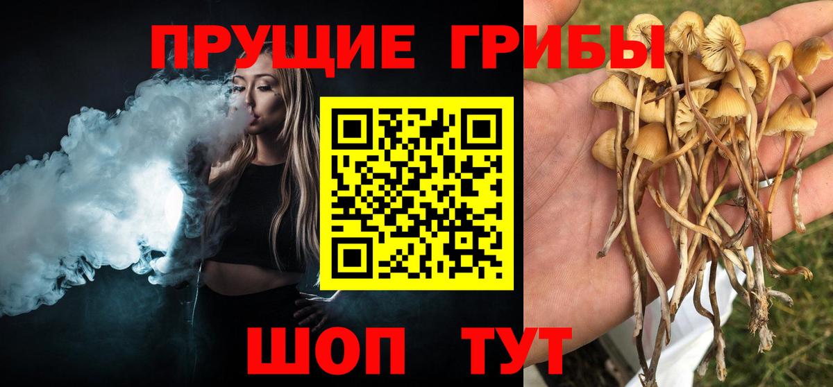 Псилоцибиновые грибы GOLDEN TEACHER  Вход с VPN  Сосновоборск 